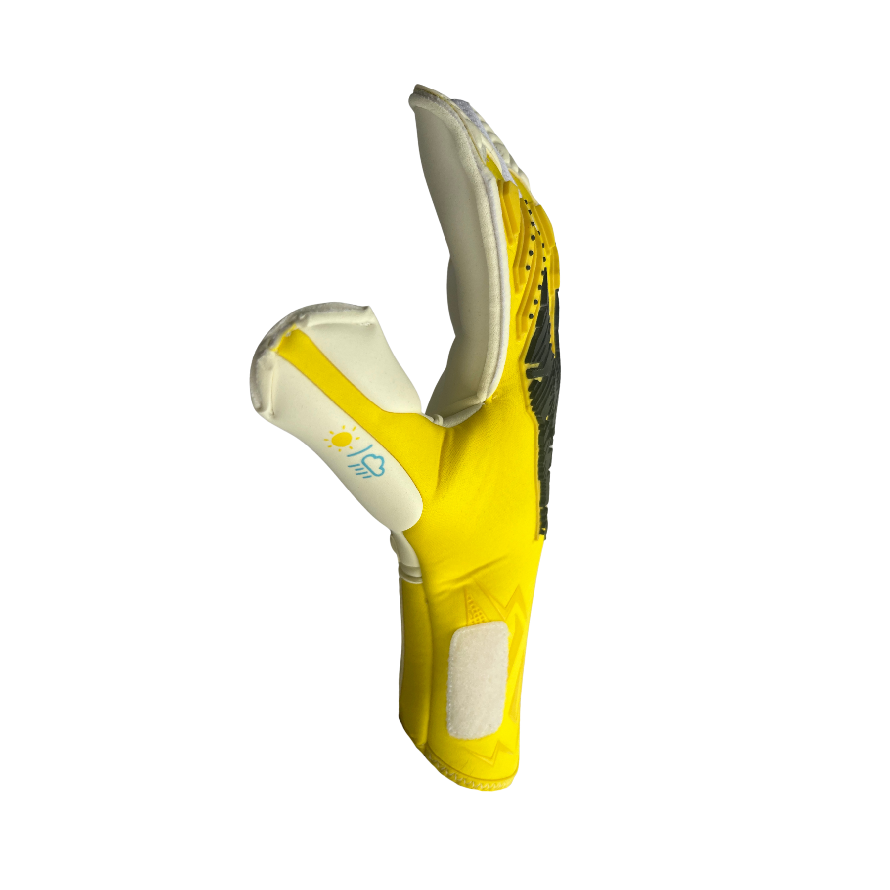 Anomaly S.25 Hybrid Cut